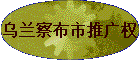 �����첼���ƹ�Ȩ
