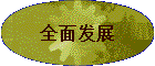 ȫ淢չ
