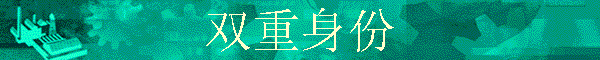 ˫