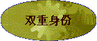 ˫