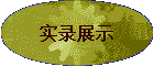 ʵ¼չʾ
