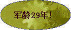 29꣡
